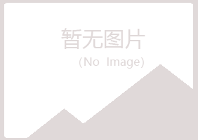 日照岚山海云保险有限公司